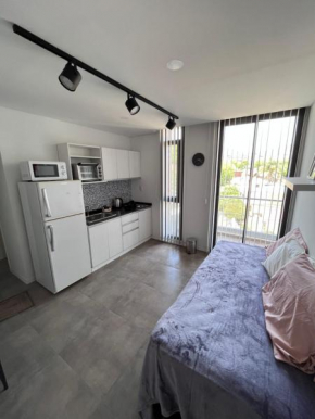 Departamento en el centro - Lake Tower